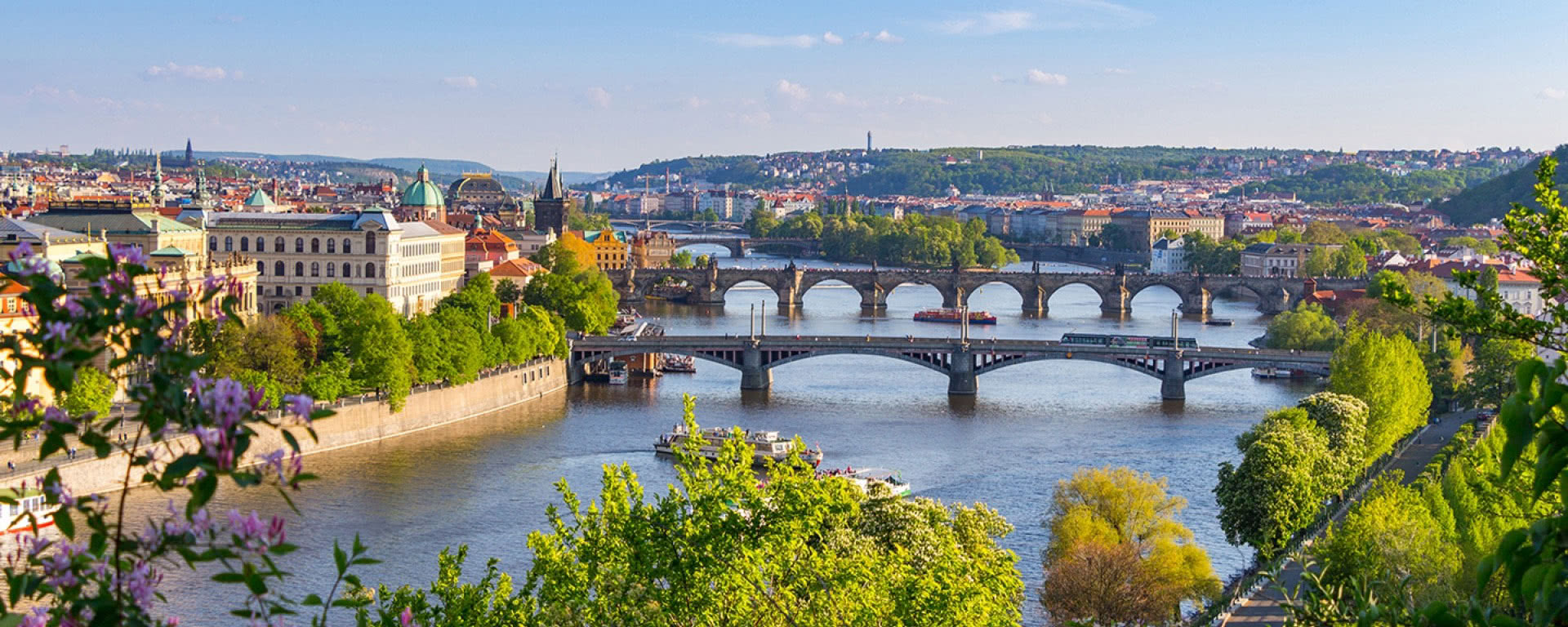 Egg Donation in Prague