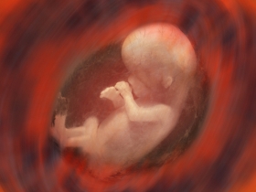 How Many Embryos Should You Transfer? How Many Embryos Should You Transfer?